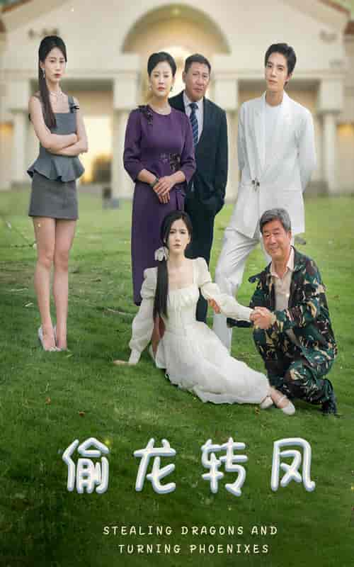 偷龙转凤（80集） - 紫橙阁短剧