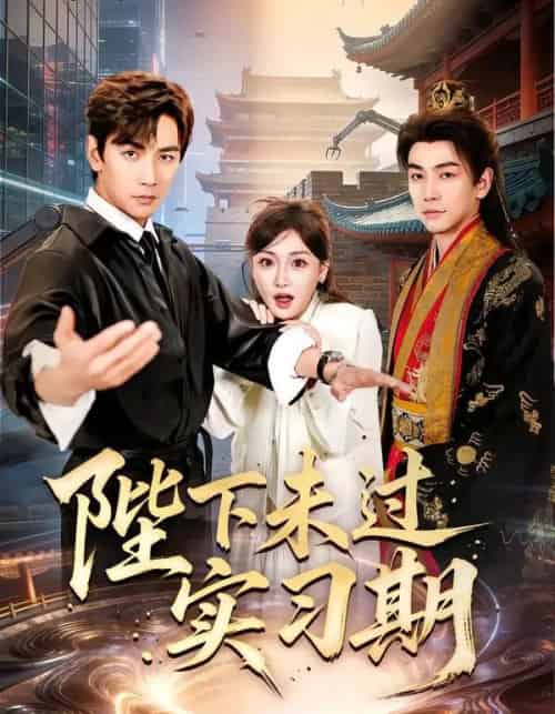 陛下未过实习期(61集全)孟璐&熊云皓&莫辛硕&刘东骏-紫橙网创项目网