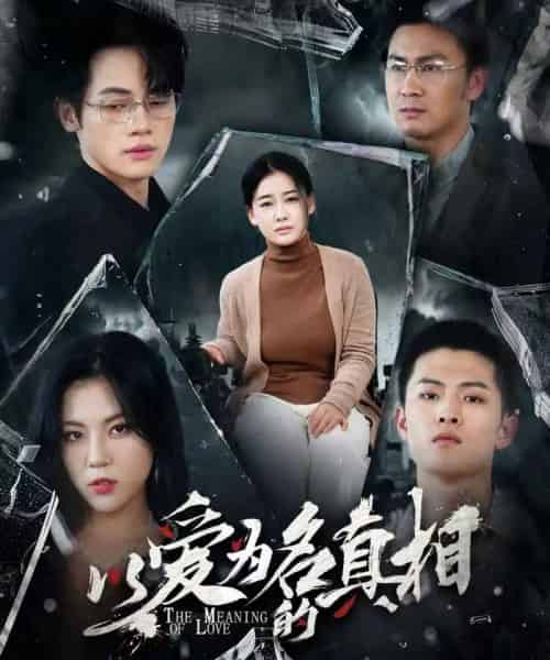 以爱为名的真相 以爱为名的真相