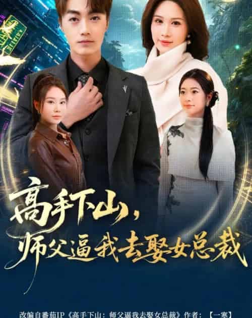高手下山，师父逼我去娶女总裁（72集全）王小水＆白金-紫橙网创项目网