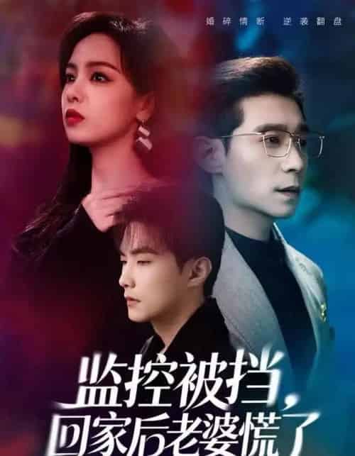 监控被挡，回家后老婆慌了（60集全）王昱赫＆熊玉婷-紫橙网创项目网