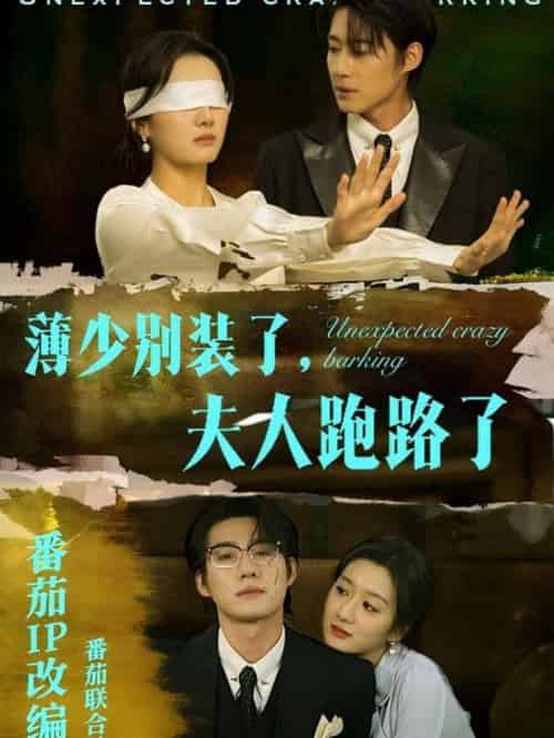 薄少别装了夫人跑路了（60集全）赵振栋＆柳卓青 - 紫橙阁短剧
