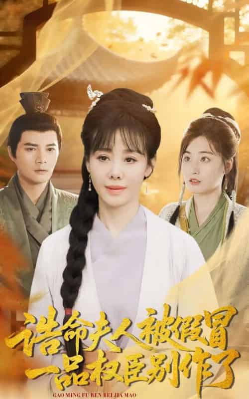 诰命夫人被假冒，一品权臣别作了（98集全）王铮＆黄骞-紫橙网创项目网