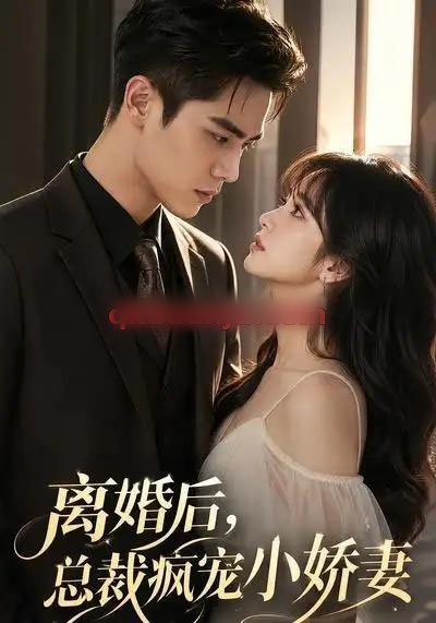 离婚后,总裁疯宠小娇妻(67集全)AI短剧-紫橙网创项目网