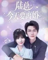陆总今天要离婚（81集）陈凯洲＆李泫逸 - 紫橙阁短剧