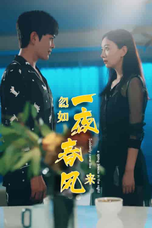 忽如一夜春风来（28集）徐江帅 - 紫橙阁短剧