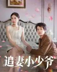 追妻小少爷（31集全）曾旭航 - 紫橙阁短剧