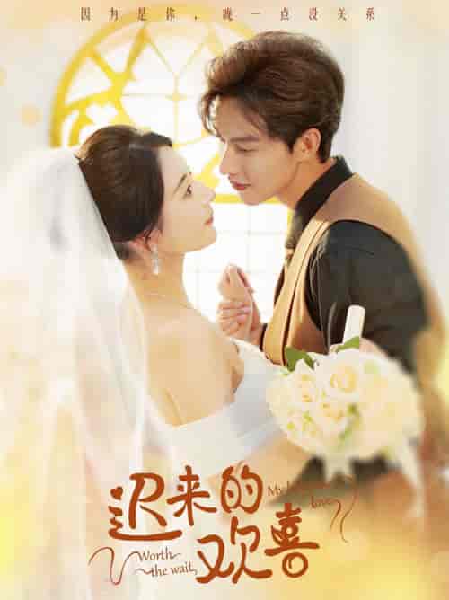 迟来的欢喜（81集全）闵杰＆秦天爱 - 紫橙阁短剧