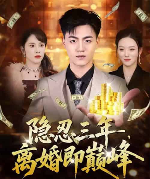 隐忍三年,离婚即巅峰(50集全)王三北&艾江山-紫橙网创项目网