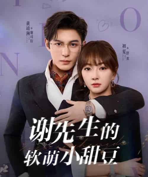 谢先生的软萌小甜豆（79集全）黄靖洲（孝太）＆初夏-紫橙网创项目网