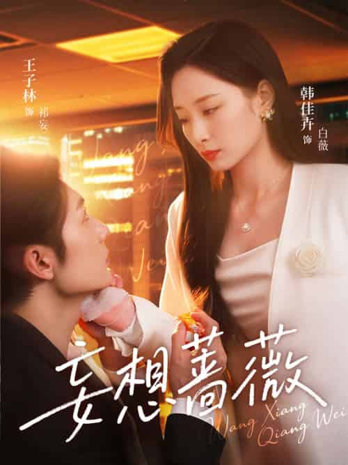妄想蔷薇 妄想蔷薇