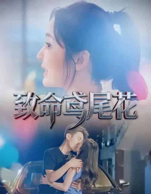 致命鸢尾花（60集全）娜吉玛＆郑天龙-紫橙网创项目网