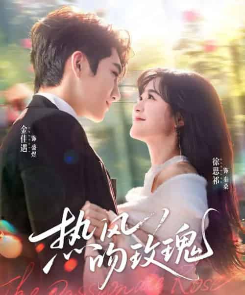 热风吻玫瑰(66集全)金佳遇&徐思祁-紫橙网创项目网