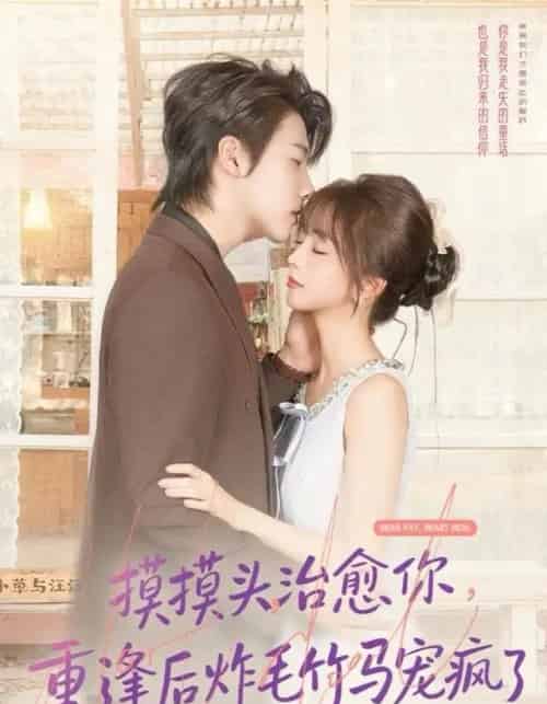 摸摸头,治愈你,重逢后炸毛竹马宠疯了 摸摸头,治愈你,重逢后炸毛竹马宠疯了