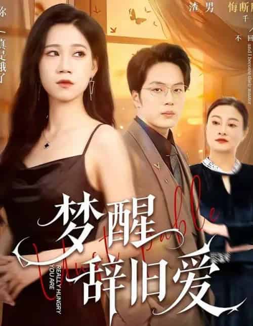 梦醒辞旧爱(55集全)陈七七&关一夫-紫橙网创项目网