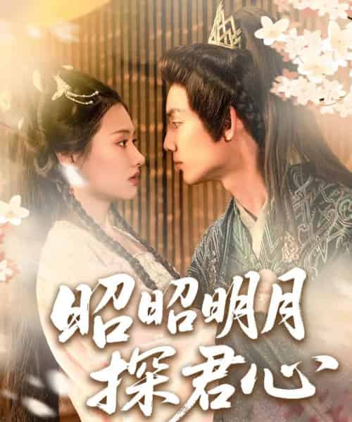 昭昭明月探君心 昭昭明月探君心