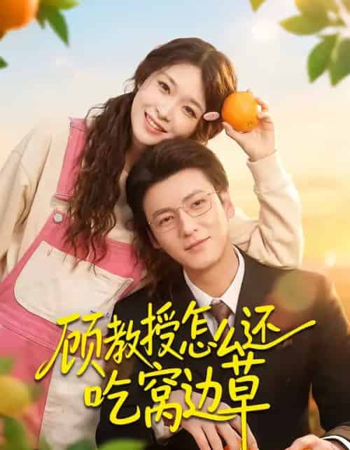 顾教授怎么还吃窝边草（60集全）吴恋融＆肖涵 - 紫橙阁短剧