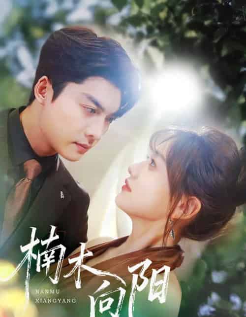 楠木向阳（70集全）方正男＆仇乐瑶-紫橙网创项目网