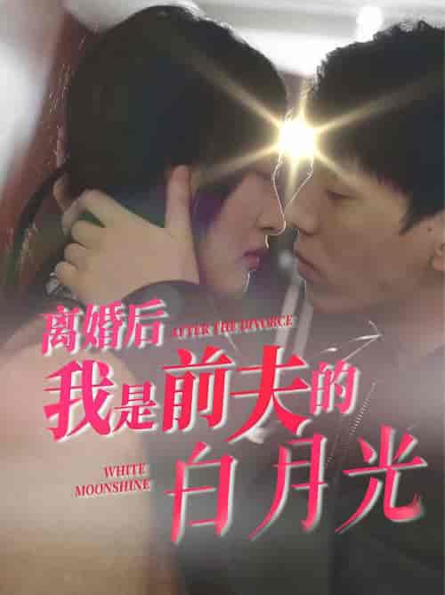 离婚后我是前夫的白月光 离婚后我是前夫的白月光