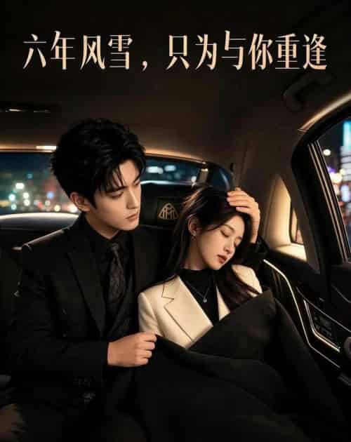 六年风雪,只为与你重逢(57集全)AI-紫橙网创项目网