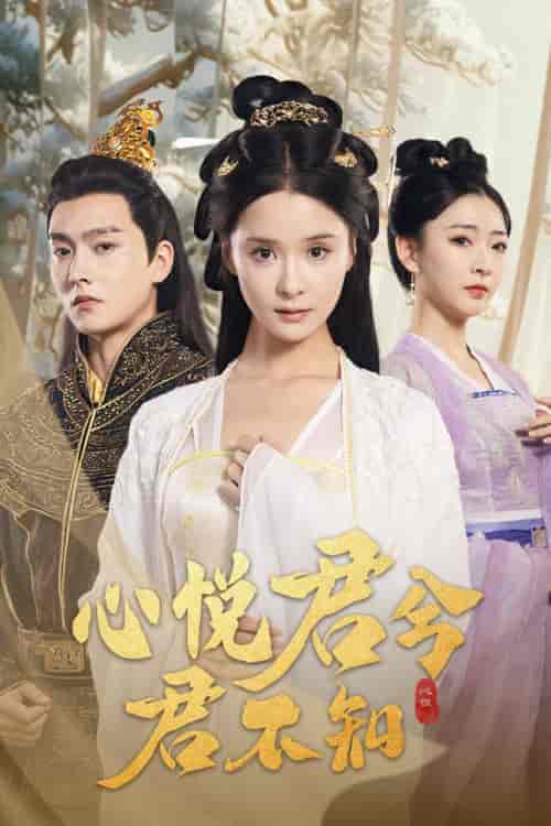 心悦君兮君不知（62集全）孟娜＆明川 - 紫橙短剧