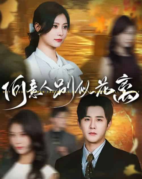 何意人别似花离（61集）伍中元＆杨杨-紫橙网创项目网