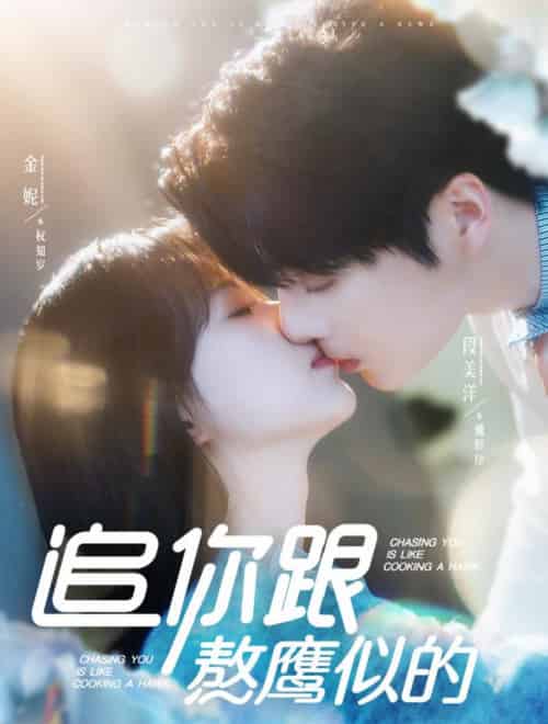 追你跟熬鹰似的（95集全）段美洋＆金妮 - 紫橙阁短剧