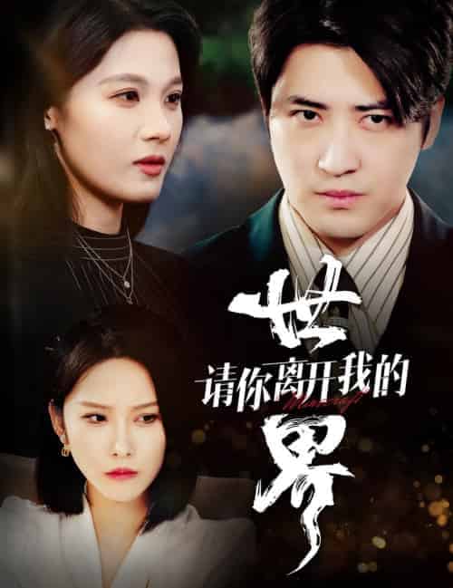 请你离开我的世界（37集全） - 紫橙阁短剧