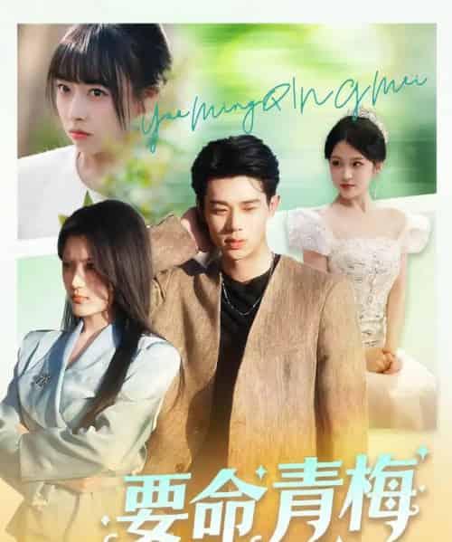 要命青梅（60集全）张凤鑫＆刘艺乔-紫橙网创项目网