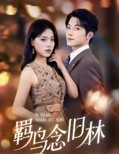 羁鸟念旧林 羁鸟念旧林