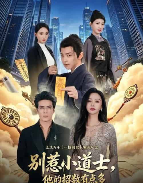 别惹小道士,他的招数有点多(70集全)李泽宇&王坤炎-紫橙网创项目网