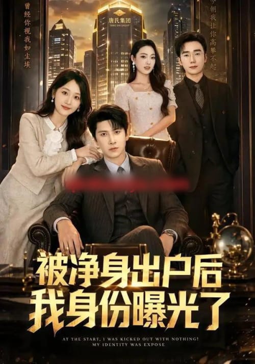被净身出户后我身份曝光了(83集全)肖羽铠&余紫瑄-紫橙网创项目网