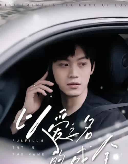 以爱之名的成全（14集全）刘鑫宇＆孙珺昂-紫橙网创项目网