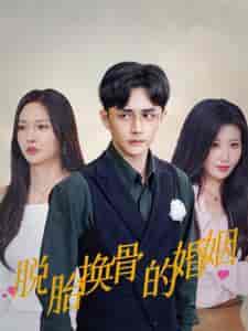 脱胎换骨的婚姻（40集全）胡冬晴 - 紫橙阁短剧