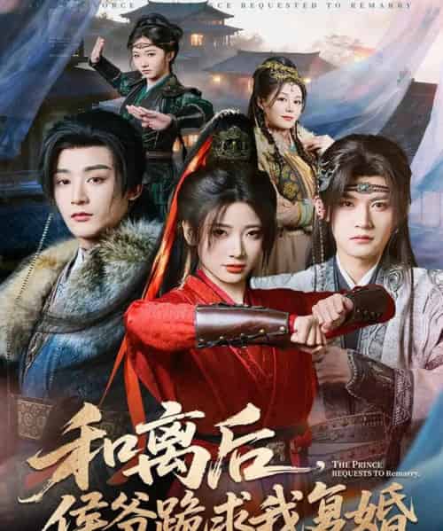 和离后，侯爷跪求我复婚（66集全）林昱希＆宗妍初-紫橙网创项目网