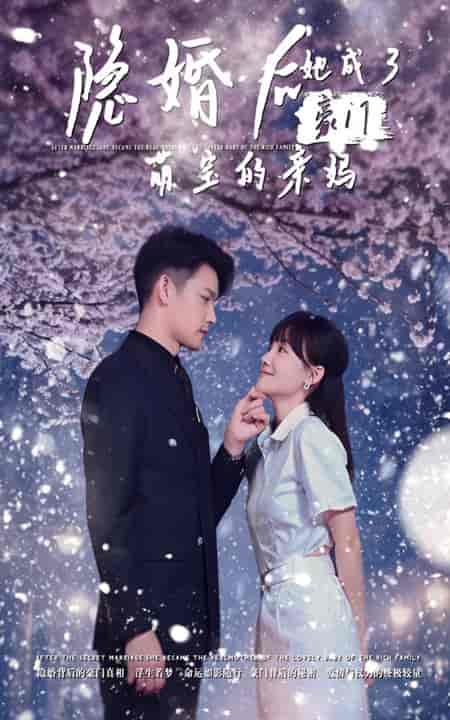 隐婚后，她成了豪门萌宝的亲妈（69集全） - 紫橙阁短剧