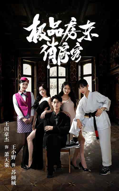 极品房东俏房客（78集） - 紫橙阁短剧
