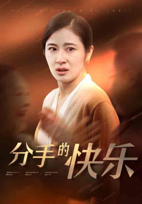 分手的快乐（66集全）钟北海＆何金玉 - 紫橙阁短剧