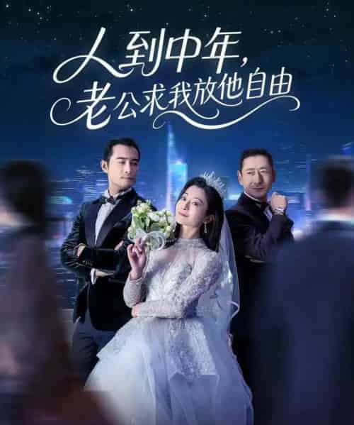 人到中年,老公求我放他自由(60集全)宁浩然&李部-紫橙网创项目网