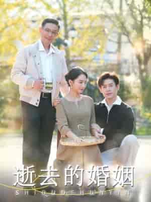逝去的婚姻（60集全）孔莹莹 - 紫橙阁短剧