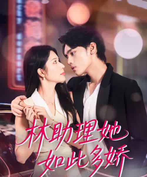 林助理她如此多娇   共79集-紫橙网创项目网