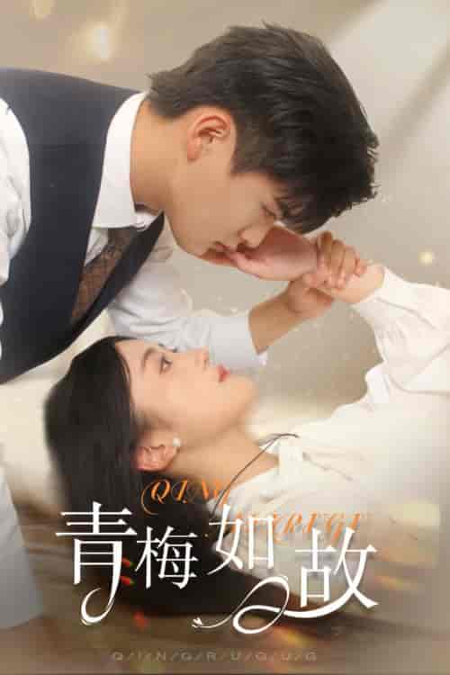 青梅如故＆恰似旧人来（61集） - 紫橙阁短剧