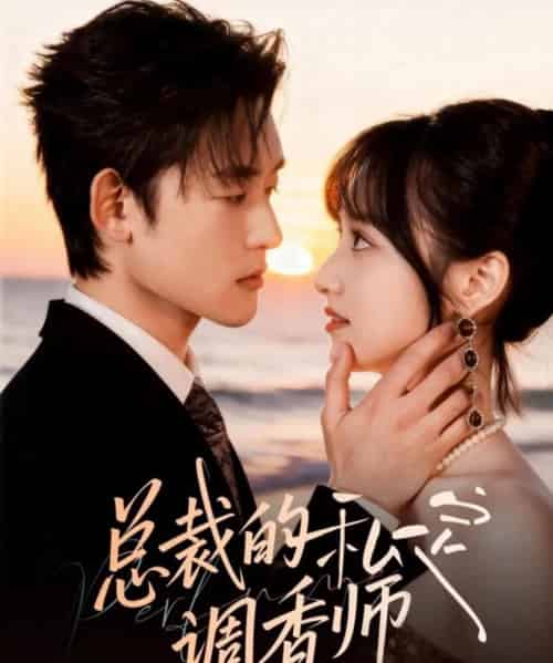 总裁的私定调香师(80集全)张力壬&徐子珊-紫橙网创项目网