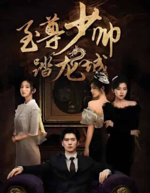 至尊少帅踏龙城 至尊少帅踏龙城