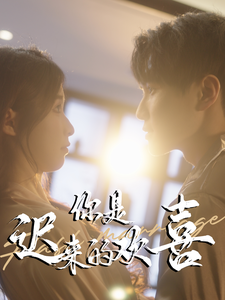 你是迟来的欢喜（78集全）-紫橙网创项目网