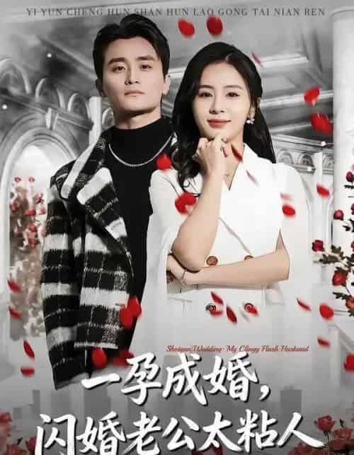 一孕成婚,闪婚老公太粘人(92集全)许嘉栩&鹂蔓-紫橙网创项目网