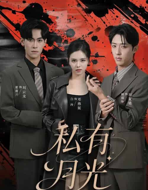 私有月光（78集全）刘云龙＆邓燕妮-紫橙网创项目网