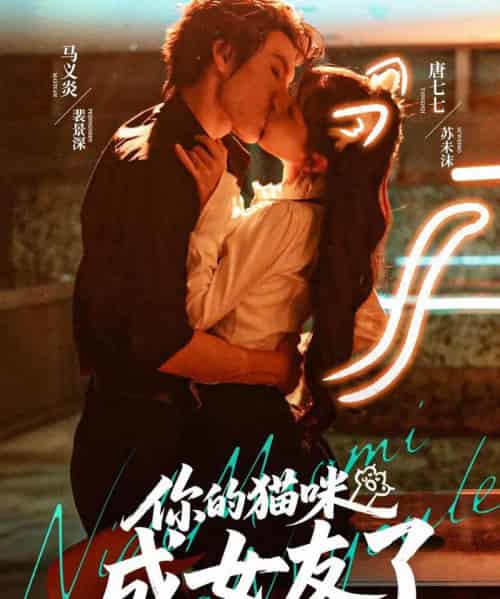 你的猫咪成女友了（70集全）唐七七＆马义炎-紫橙网创项目网