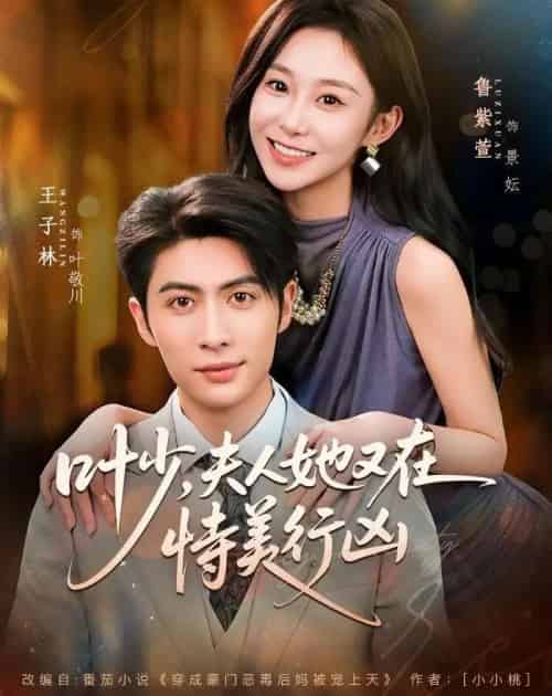 叶少,夫人她又在恃美行凶(72集全)王子林&鲁紫萱-紫橙网创项目网