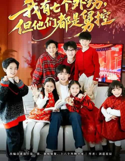 我有七个外甥，但他们都是舅控（76集全）张贻乔＆姜山-紫橙网创项目网